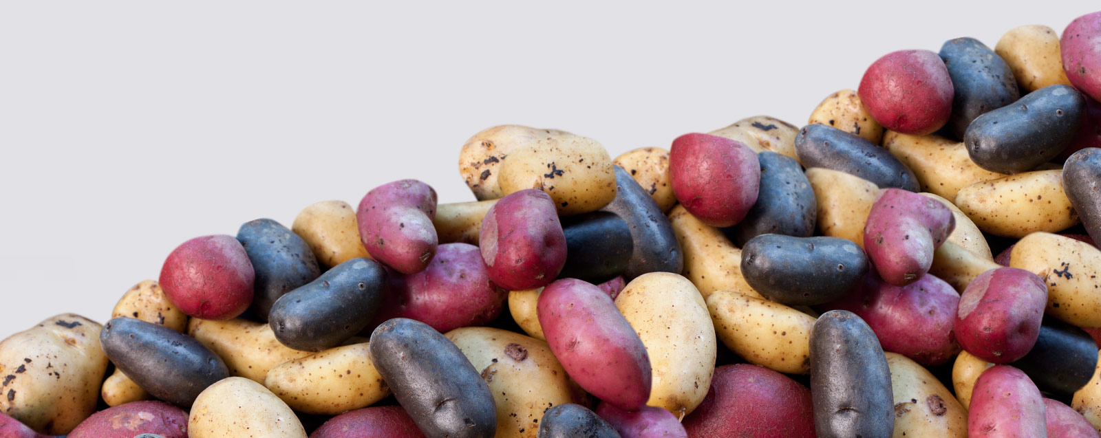 Fresh Potatoes background image